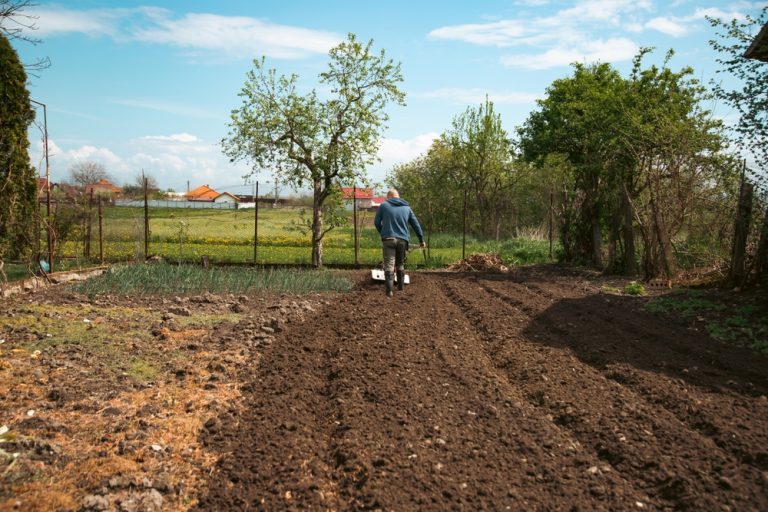 Why You Should Rethink Tilling Your Soil This Year
