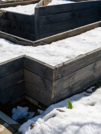 The Truth About Growing Food in Containers During Winter