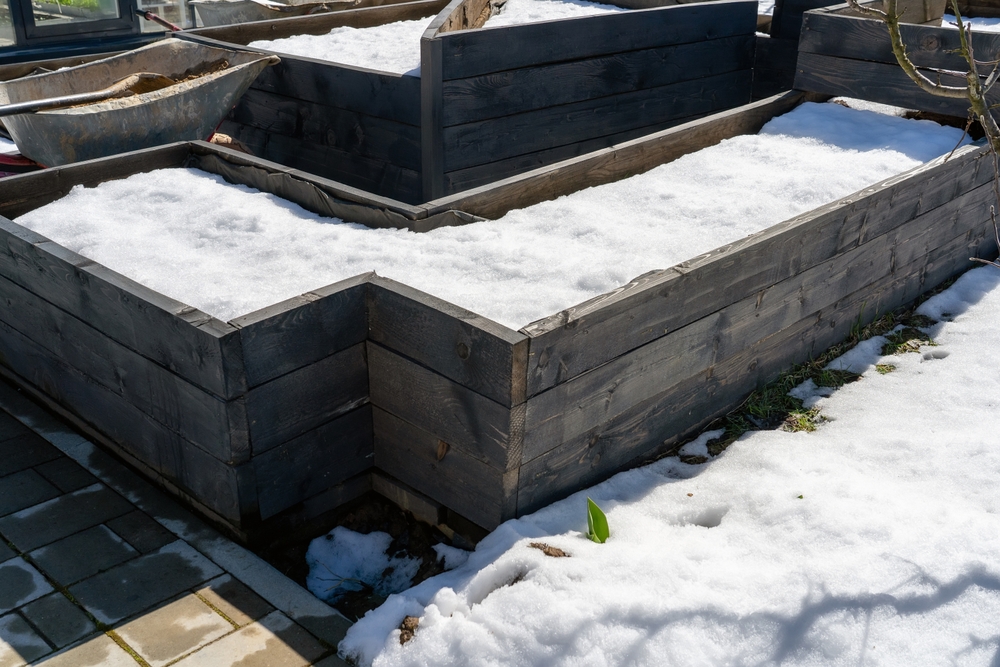 The Truth About Growing Food in Containers During Winter