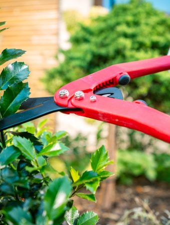 Here Are Garden Gifts for Plant Lovers That Actually Get Used