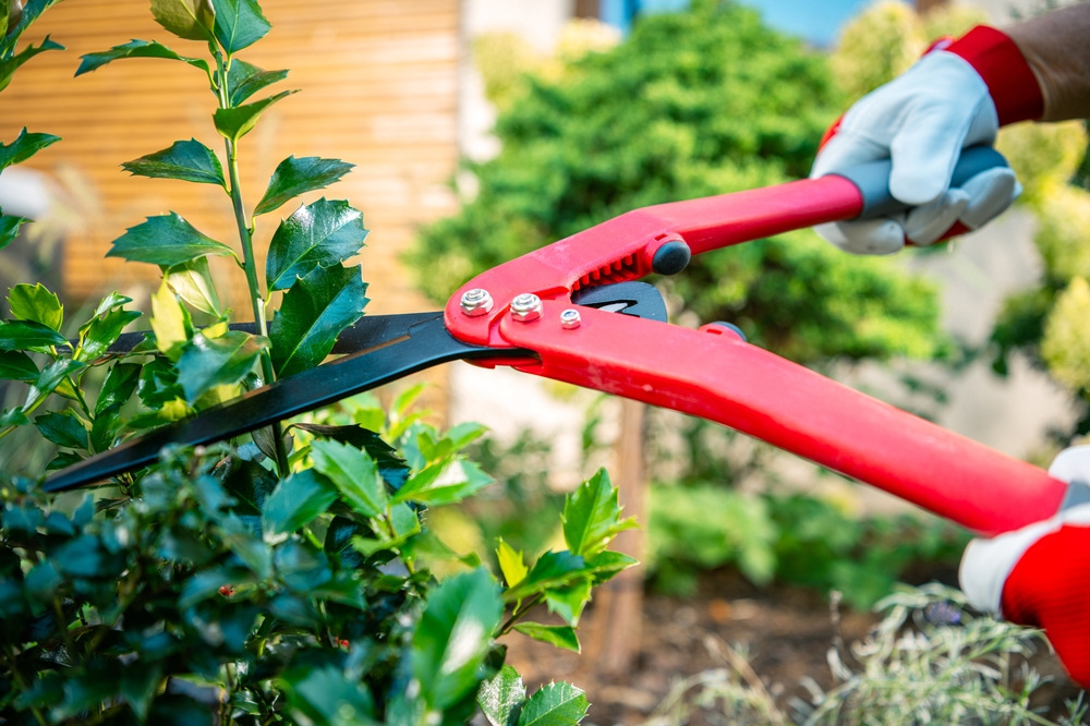 Here Are Garden Gifts for Plant Lovers That Actually Get Used