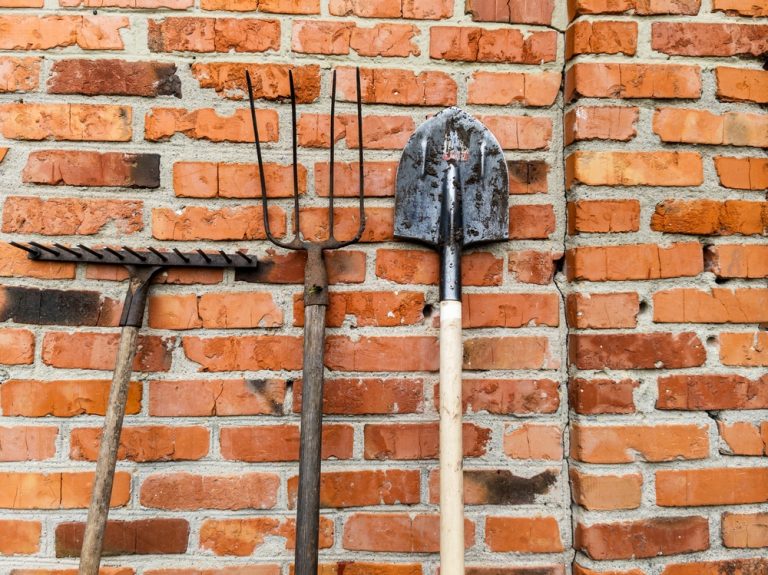 Protecting Garden Tools from Rust and Freeze Is More Important Than You Think