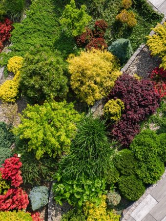 There Are Certain Garden Layout Changes to Make During the Off-Season