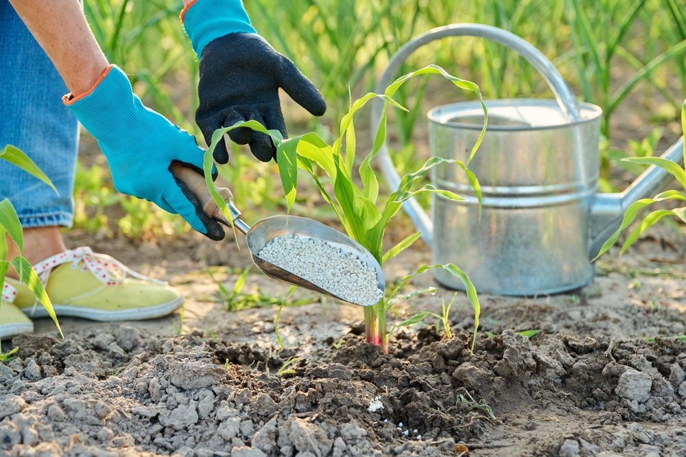 Here Are 14 January Garden Tasks That Give You a Huge Spring Head Start