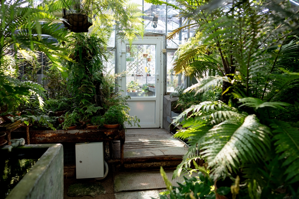 When Should You Start Building Your Greenhouse for Next Season?