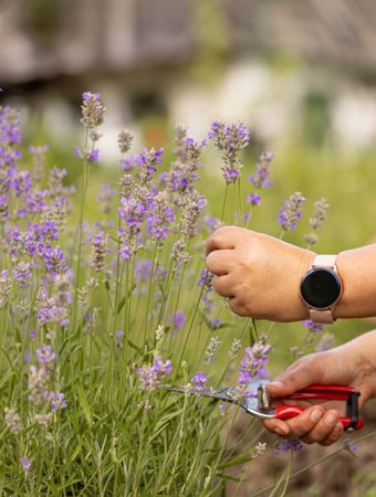 Here Are 12 New Year Resolutions Every Garden Lover Should Consider