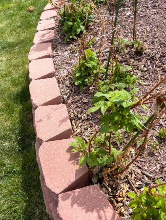 There Are Creative Garden Borders You Can Install in December