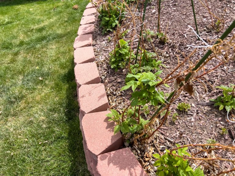 There Are Creative Garden Borders You Can Install in December