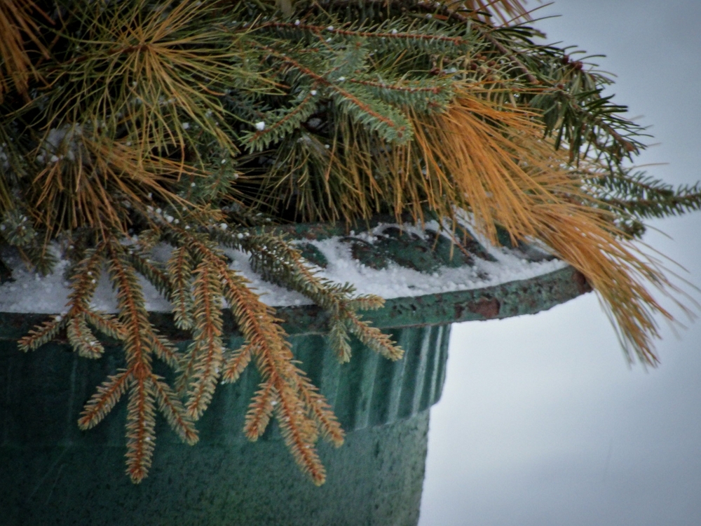 Make Sure Your Garden Containers Are Rated for Frost 