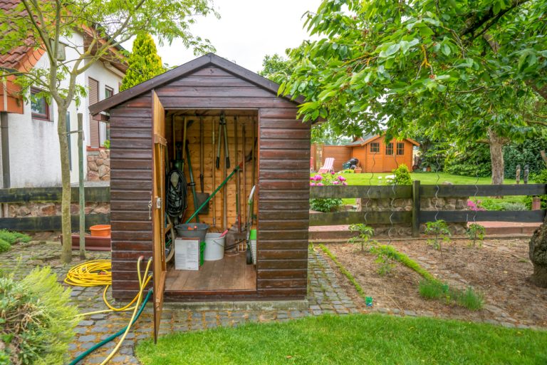 You Need To Catch Hidden Pests Before They Invade Your Shed This Winter