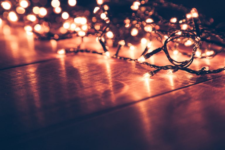 You Can Repurpose Leftover Holiday Lights for Garden Use