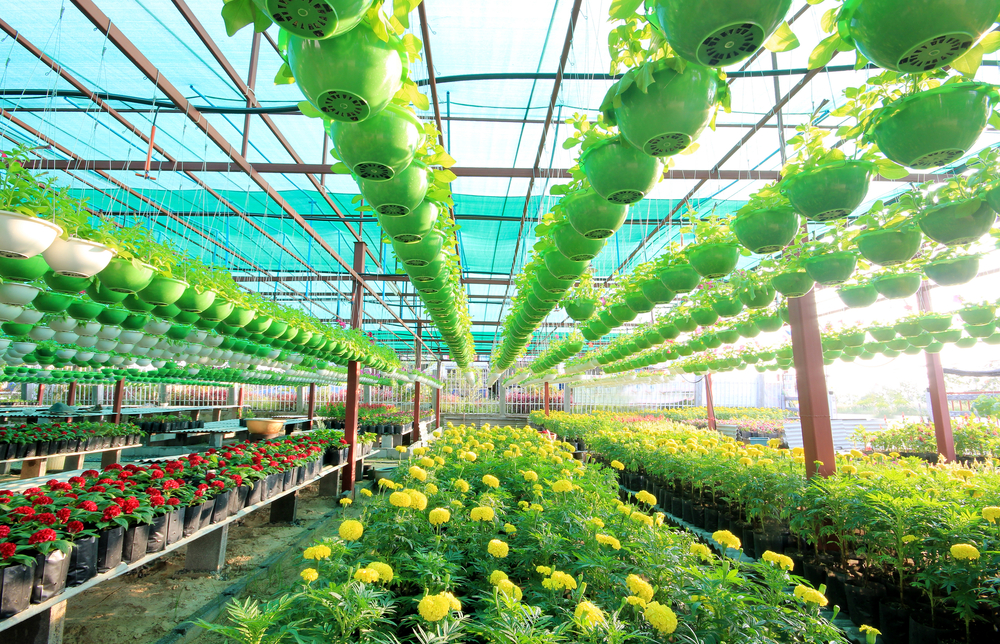 You Should Be Ordering Garden Supplies During the Holidays