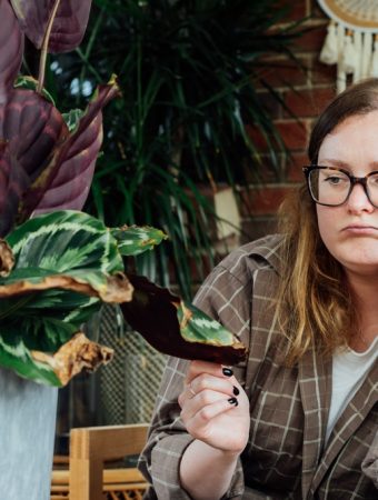 Experts Say These Dollar Store Garden Items Are Killing Plants in 2026