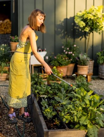 Are Raised Beds Worth the Investment for Small Gardens?