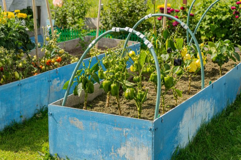 10 Garden Structures Worth Building While Bugs Are Gone