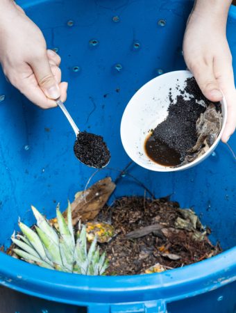 8 Winter Compost Additives That Speed Up Breakdown