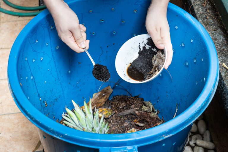 8 Winter Compost Additives That Speed Up Breakdown
