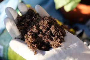 7 Things You Should Never Compost in Winter—Even If You Do in Summer