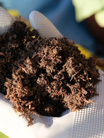 7 Things You Should Never Compost in Winter—Even If You Do in Summer