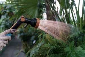 This Winter Gardening Habit Is Spreading Mold and Root Rot, Experts Warn