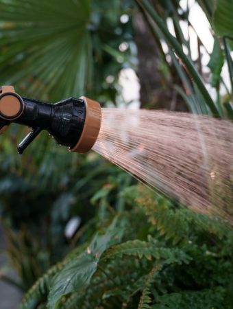 This Winter Gardening Habit Is Spreading Mold and Root Rot, Experts Warn