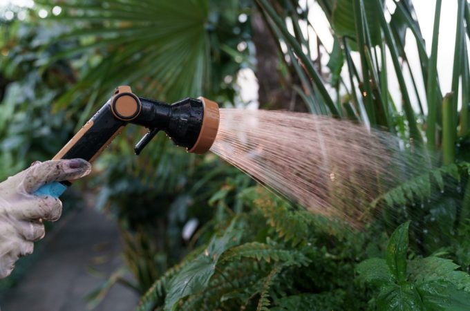 This Winter Gardening Habit Is Spreading Mold and Root Rot, Experts Warn