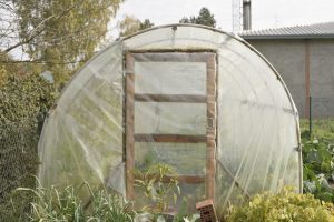 9 Cold-Frame Tricks That Keep Greens Growing in January