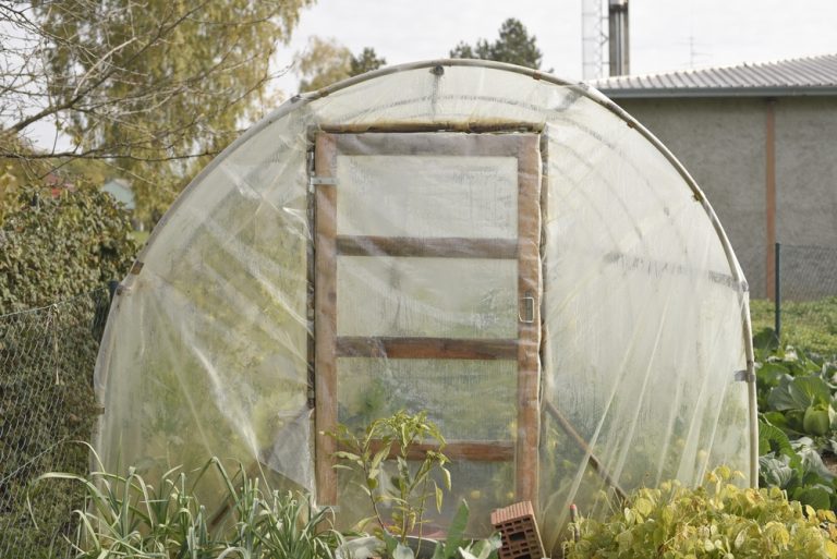 9 Cold-Frame Tricks That Keep Greens Growing in January