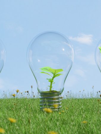 9 Low-Cost Grow Light Picks That Don’t Feel Like a Scam