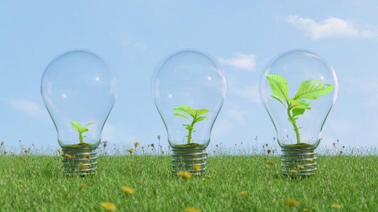 9 Low-Cost Grow Light Picks That Don’t Feel Like a Scam