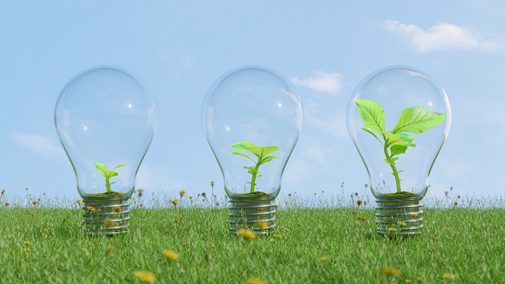 9 Low-Cost Grow Light Picks That Don’t Feel Like a Scam