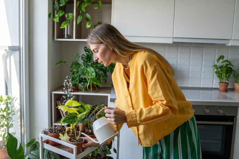 Master Gardeners Say This Common January Habit Is Killing Houseplants