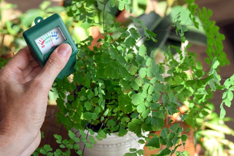 10 Garden Purchases That Sound Useful but Rarely Pay Off