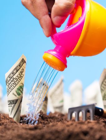 Is Starting a Small Garden Cheaper Than You Think?