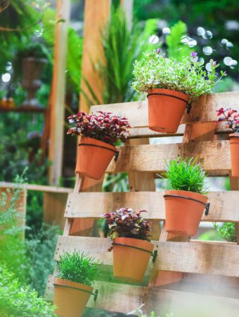 These Are 9 Cheap Windbreak Ideas That Save Plants in a Cold Snap