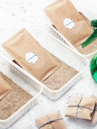 Are Store-Bought Seed Kits Worth the Price?