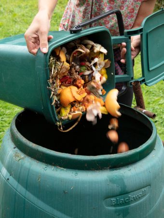Why Your Compost Bin Could Be Breeding A Fungus That Kills Seedlings