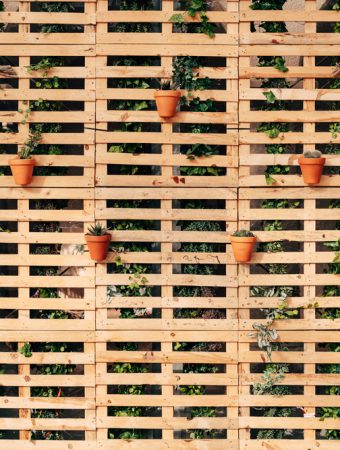 These Are 9 Low-Cost Alternatives to Store-Bought Garden Fencing