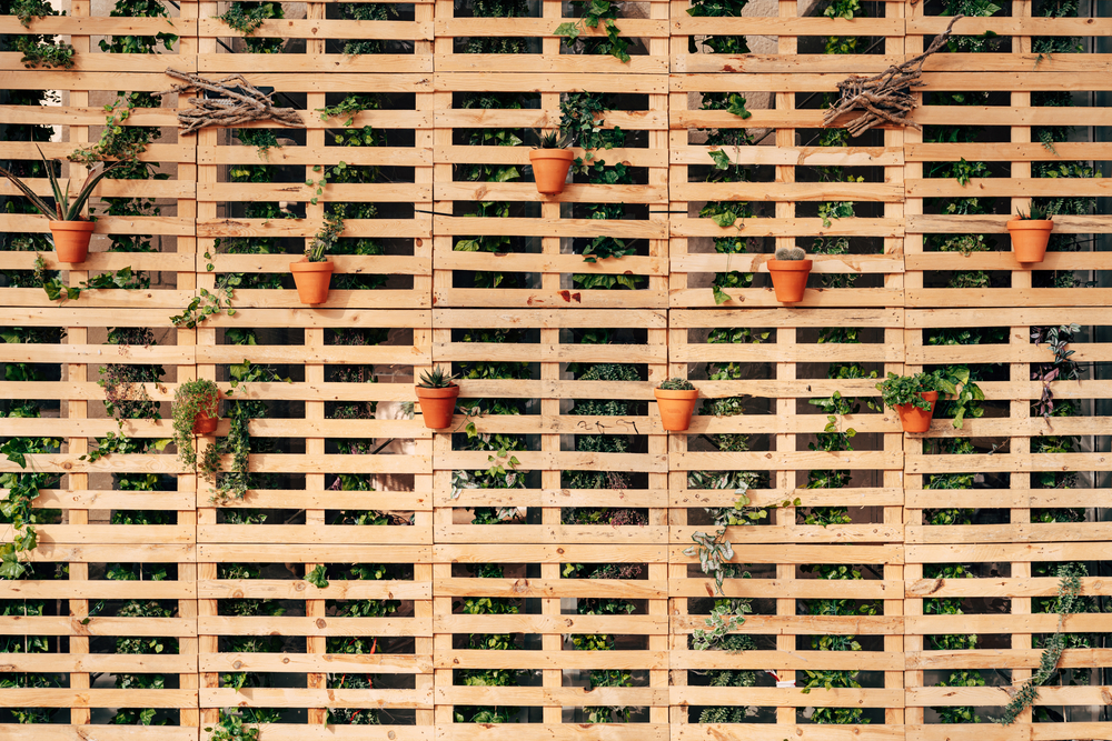 These Are 9 Low-Cost Alternatives to Store-Bought Garden Fencing