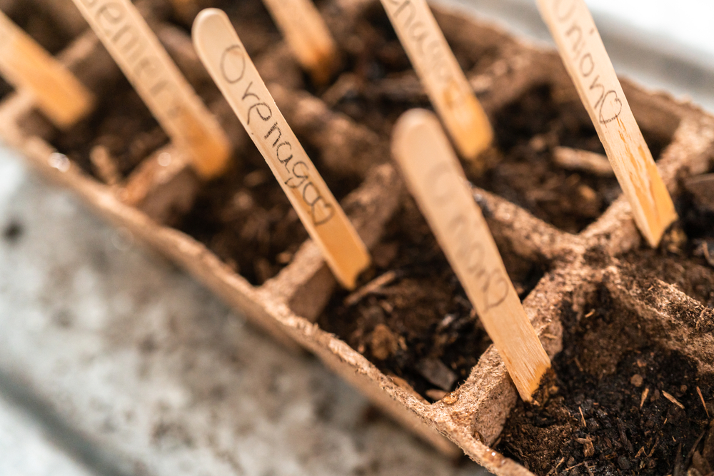 Why January Is the Cheapest Time to Fix Long-Term Garden Problems