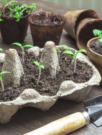 These Are 10 Dollar‑Store Gardening Items That Actually Work