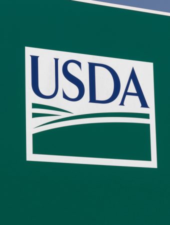 What USDA Zone 7 Gardeners Should Be Doing Right Now (And What to Skip)