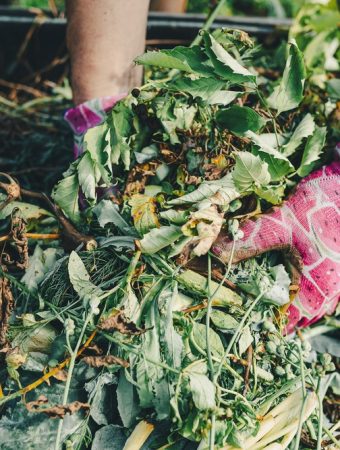 Extension Offices Are Sounding the Alarm on This Popular Compost Ingredient