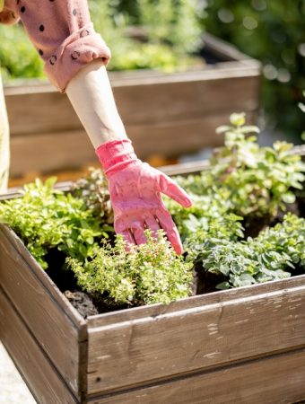 9 Mistakes That Make Home Gardens More Expensive Than Necessary