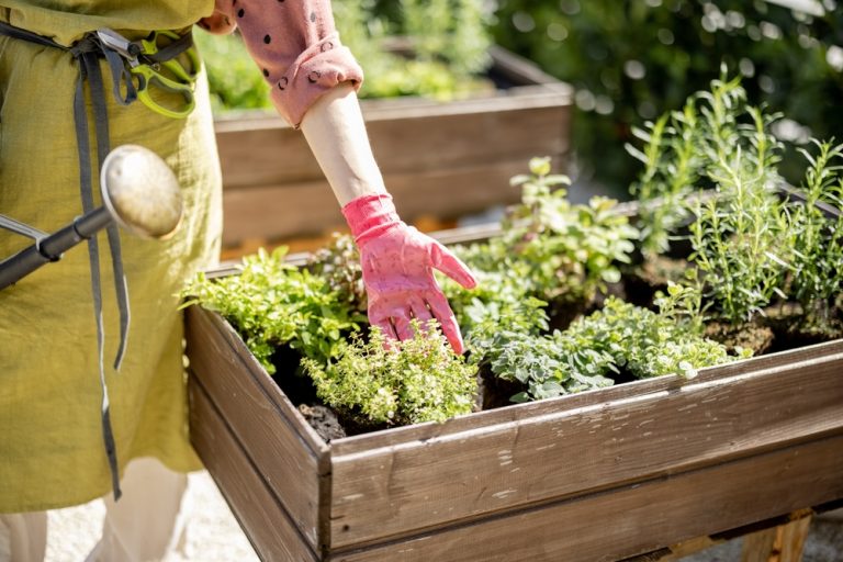 9 Mistakes That Make Home Gardens More Expensive Than Necessary