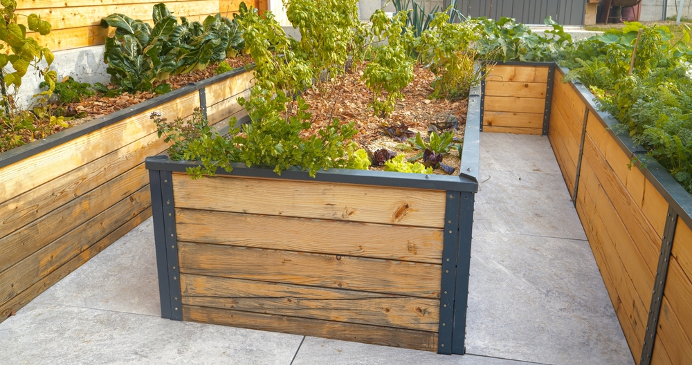 Here Are 10 Backyard “Warm Spots” Where Plants Survive the Coldest Nights