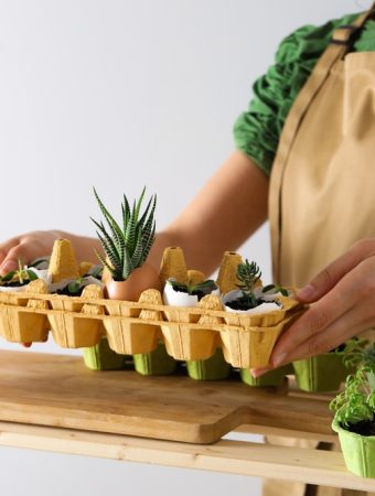 9 Seed-Starting Supplies You Can Replace With Household Items