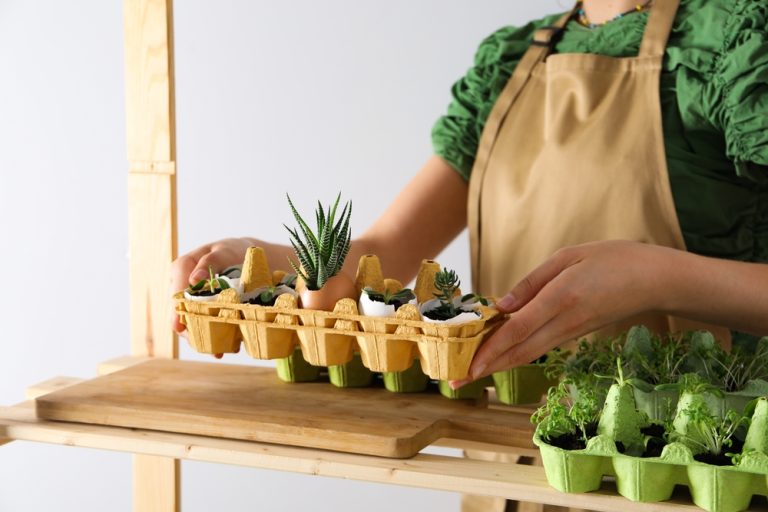 9 Seed-Starting Supplies You Can Replace With Household Items