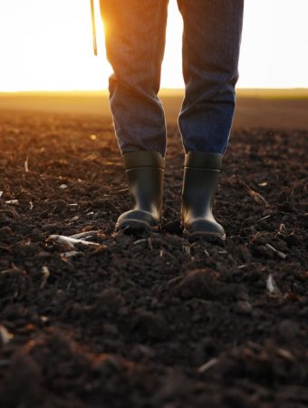 Extension Agents Say This One Winter Habit Is Ruining Your Spring Garden