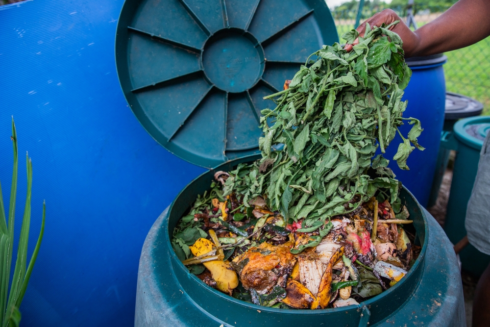 Why Your Compost Bin Could Be Breeding A Fungus That Kills Seedlings